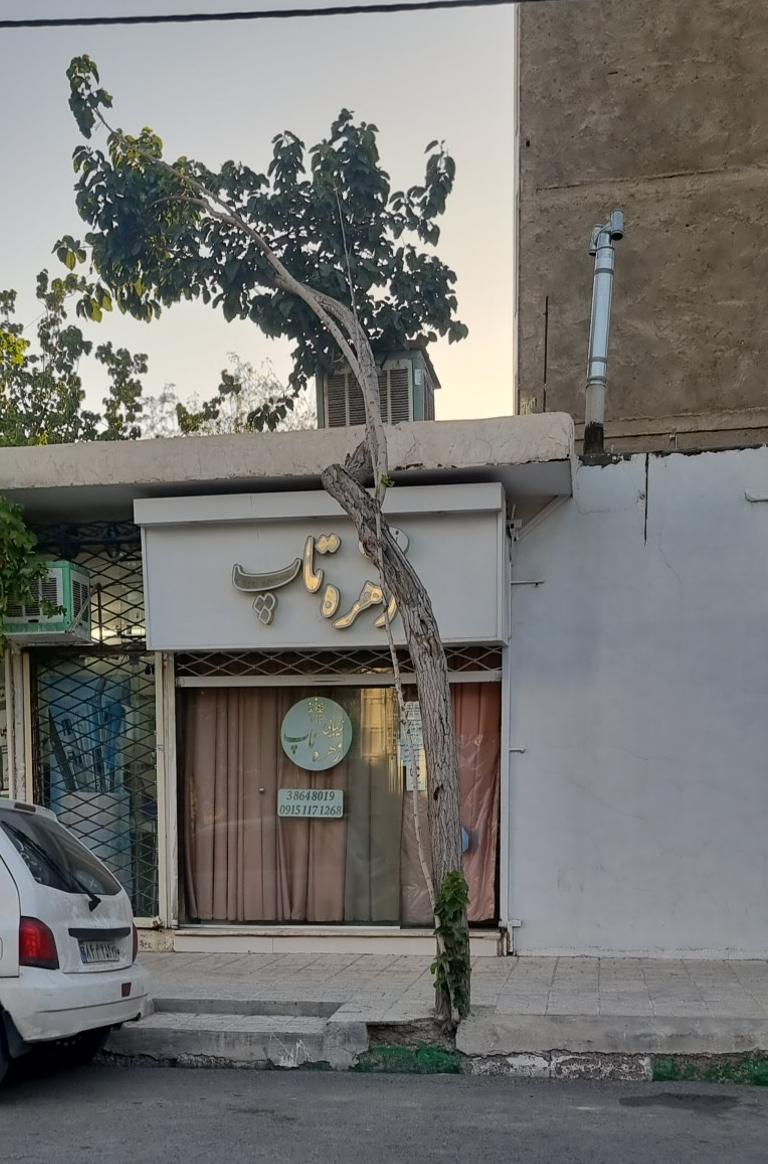 زیبایی زهره تاپ