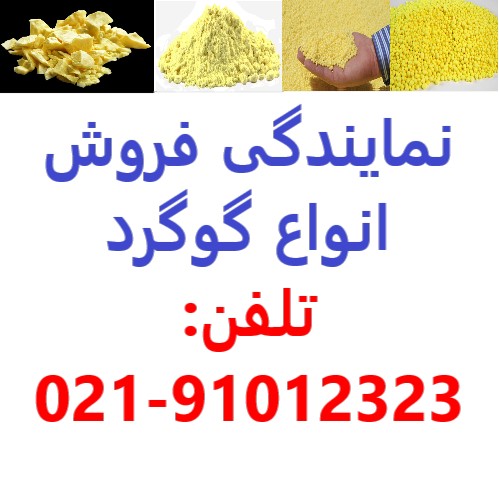 سازمان تامین نهاده ایران - شعبه تهران
