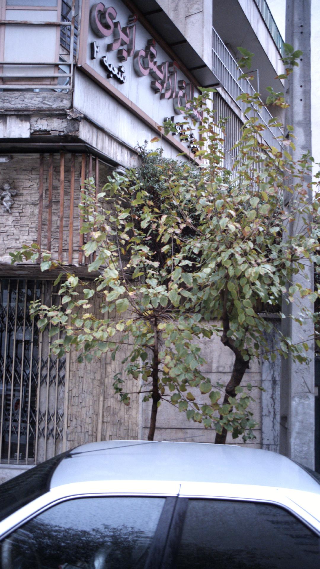 سالن ابری