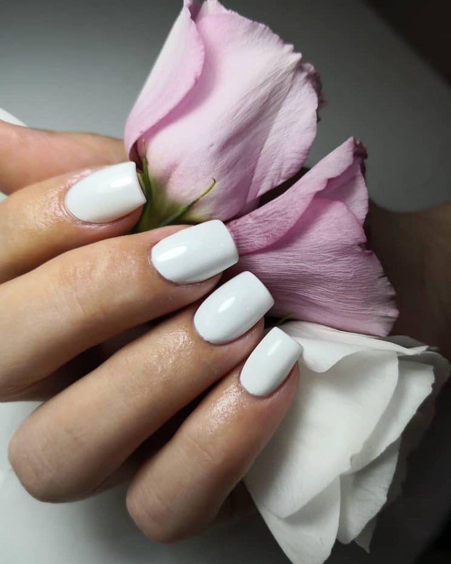 سالن زیبایی شانا یزدانی