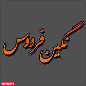 سالن زیبایی نگین فردوس