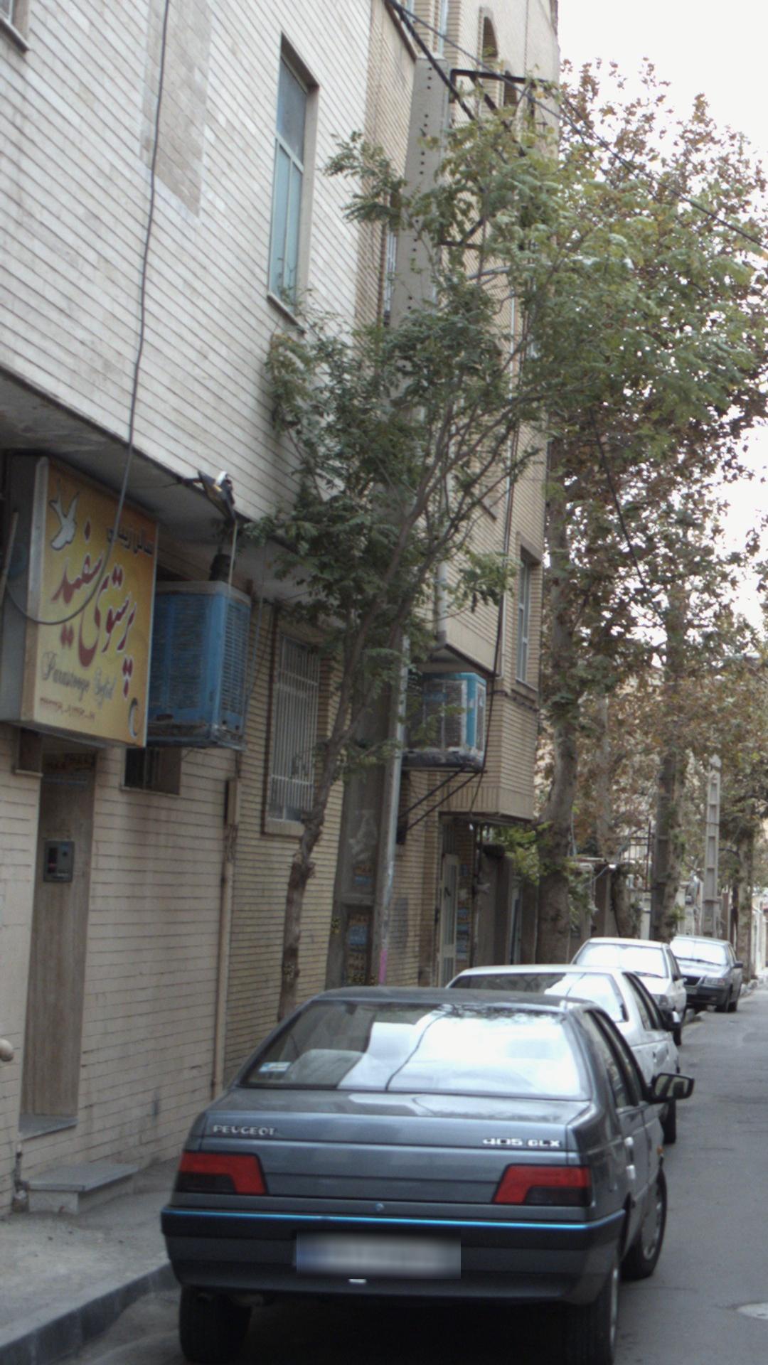 سالن زیبایی پرستوی سفید