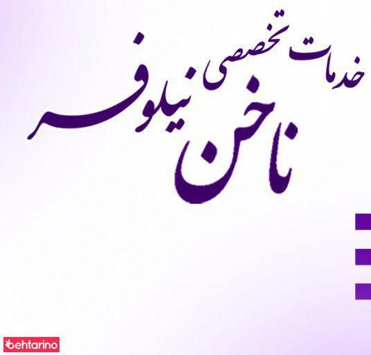 سالن نیلوفر