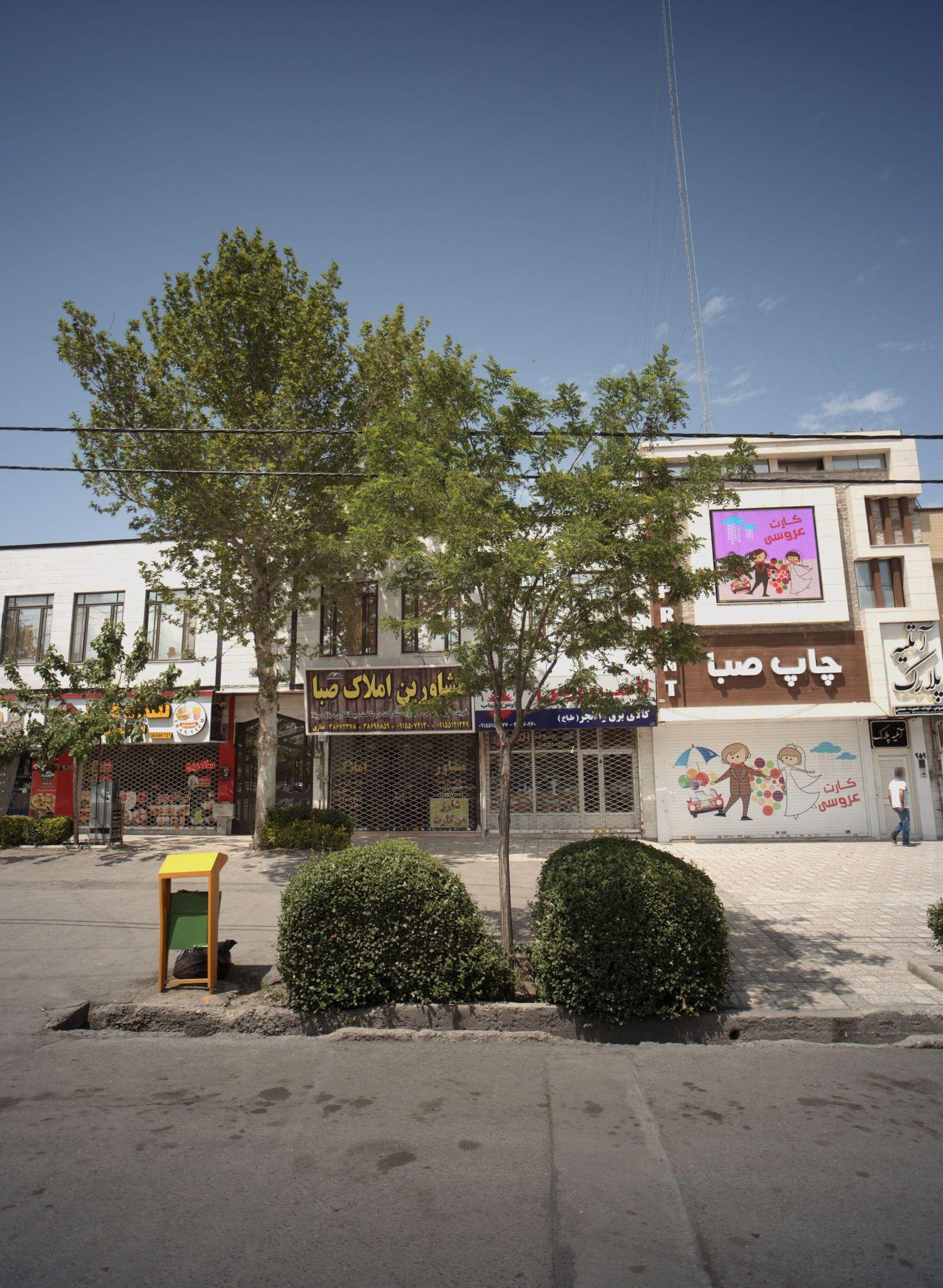 ساندویچ ایرانویچ