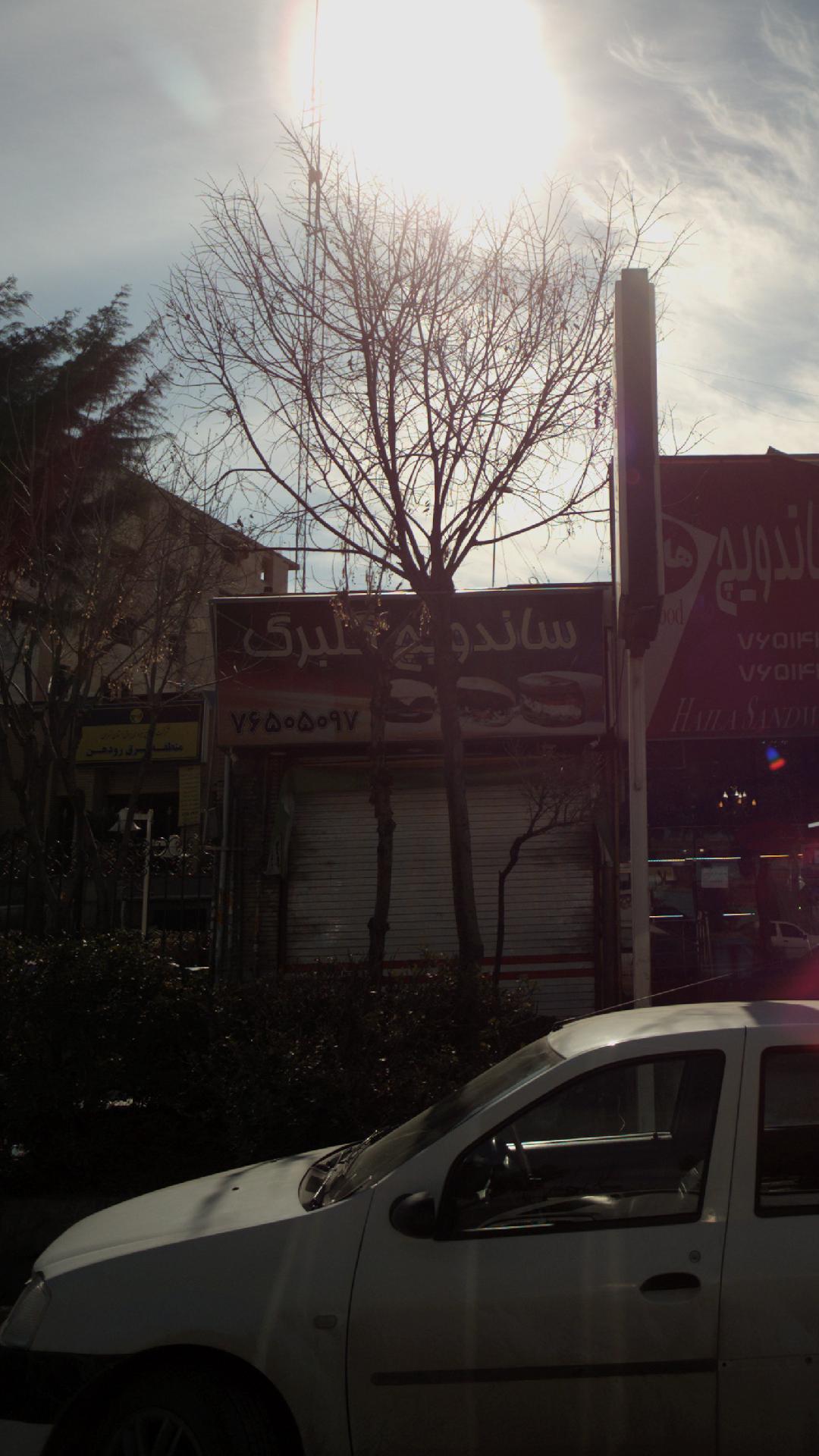 ساندویچ گلبرگ