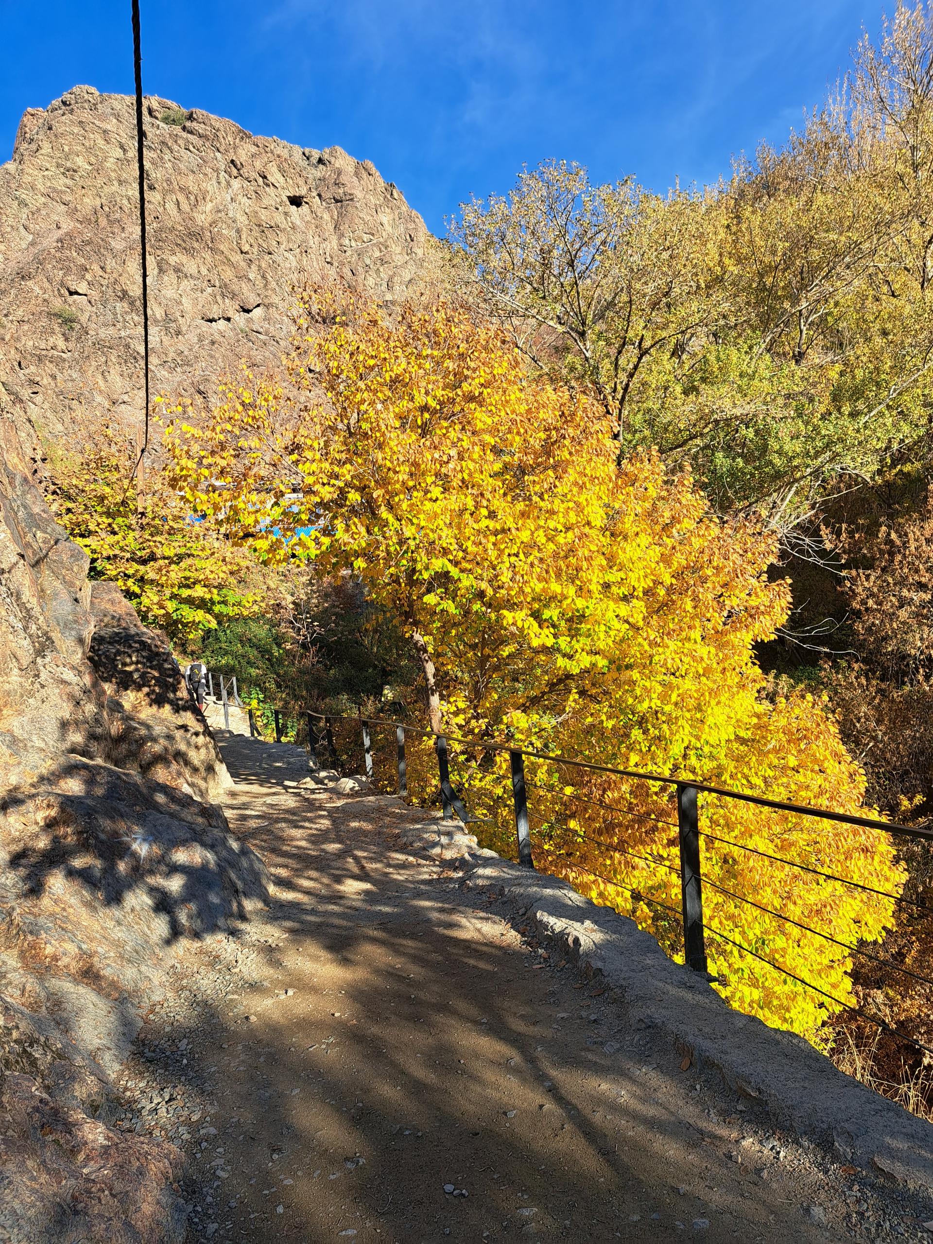 ساندویچی پاچنار