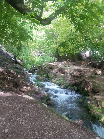 سایت خبری سلام لردگان