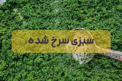 سبزی خرد کنی آویشن