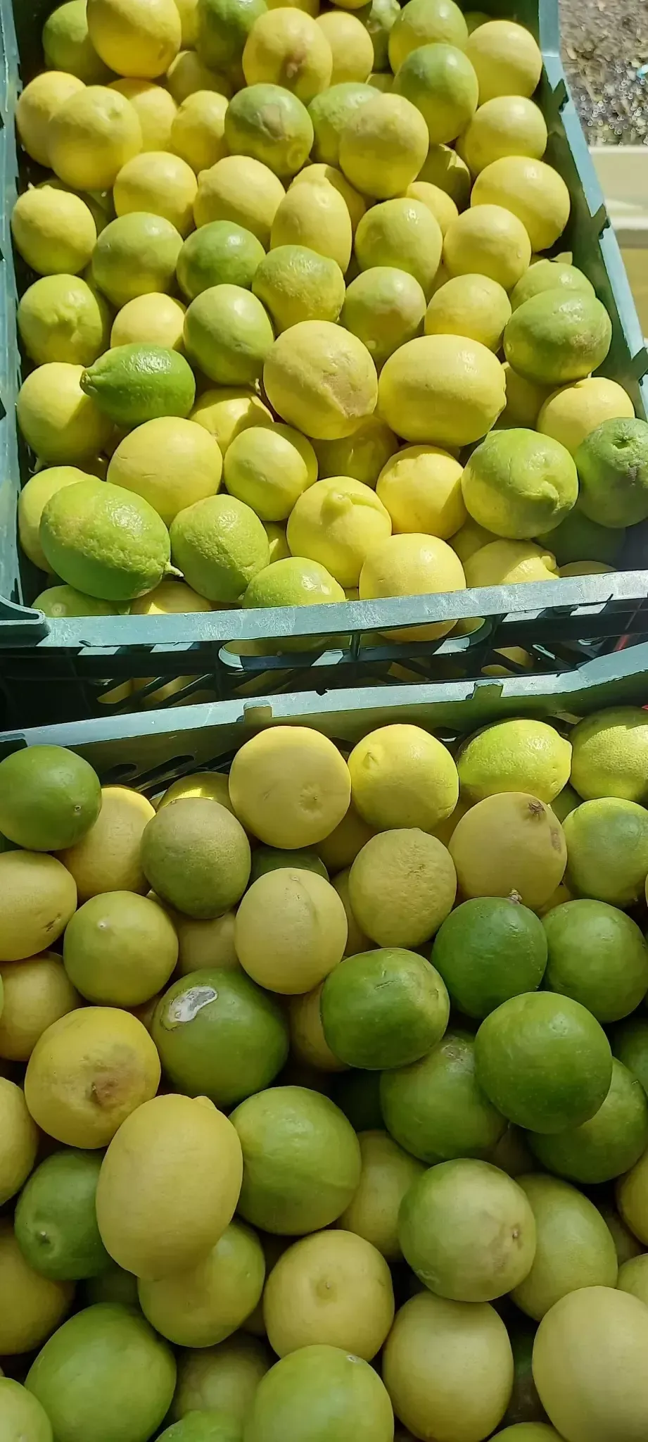 سبزی خرد کنی جلالی