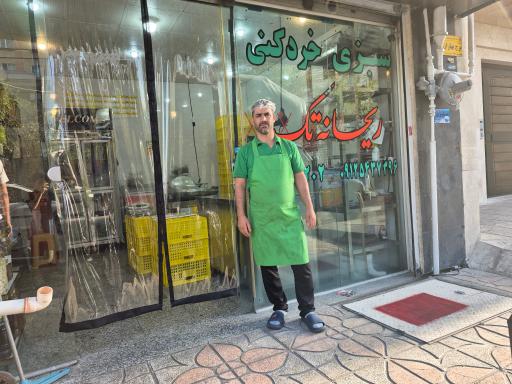 سبزی خرد کنی ریحانه تک