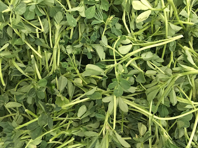 سبزی خردکنی باغچه