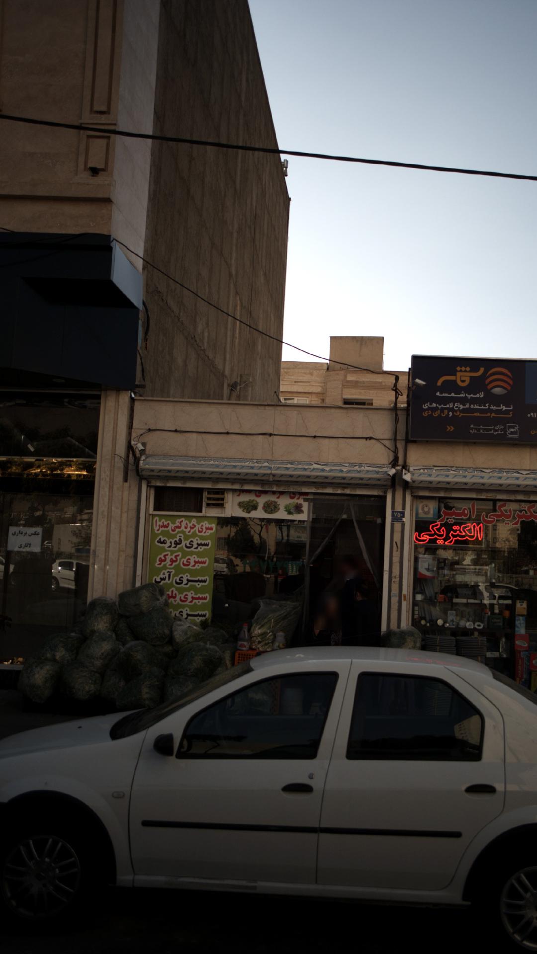 سبزی خردکنی صدرا