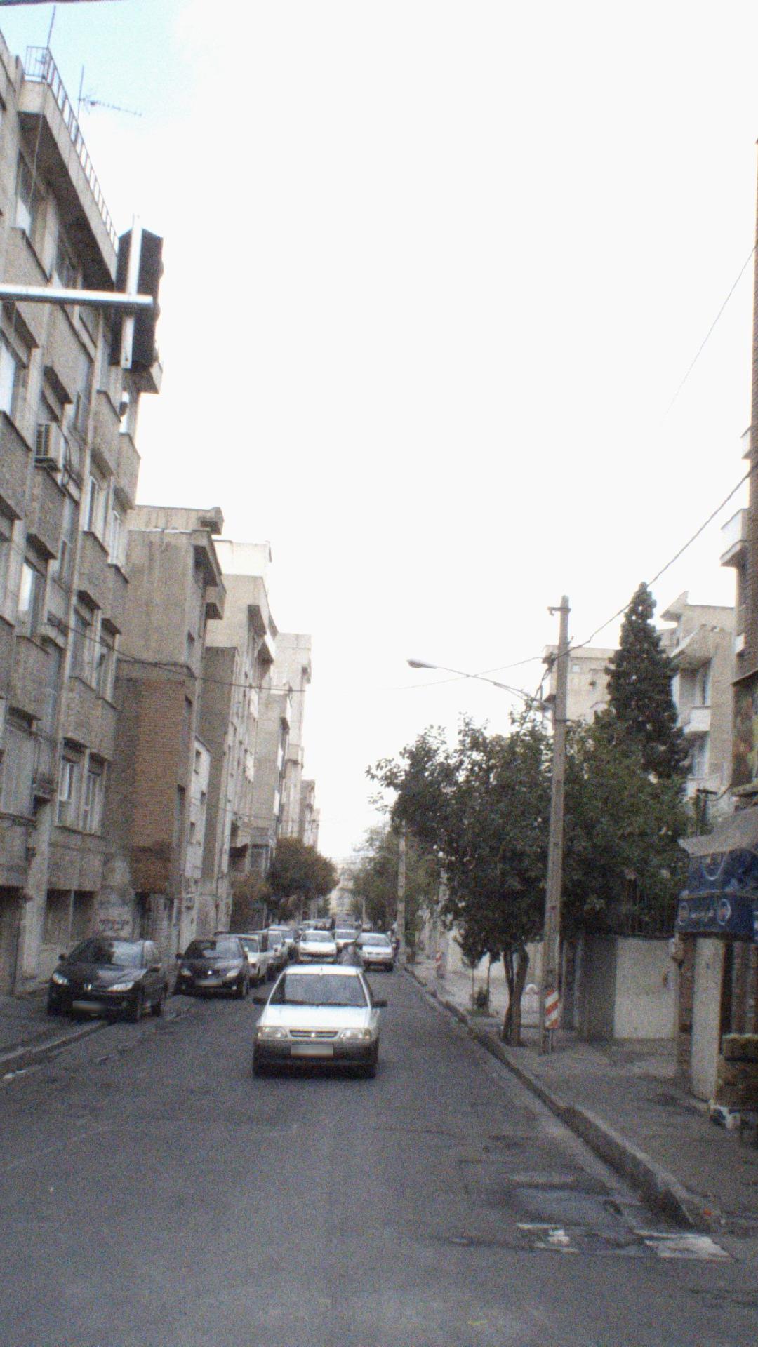 سبزی فروشی وسبزی خوردکنی شهریاری