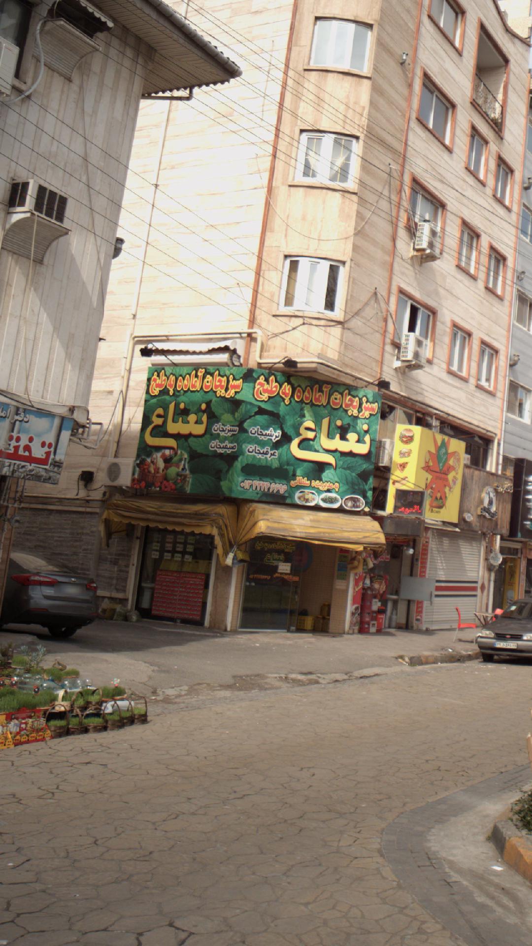 سبزیجات آماده به طبخ نعناع