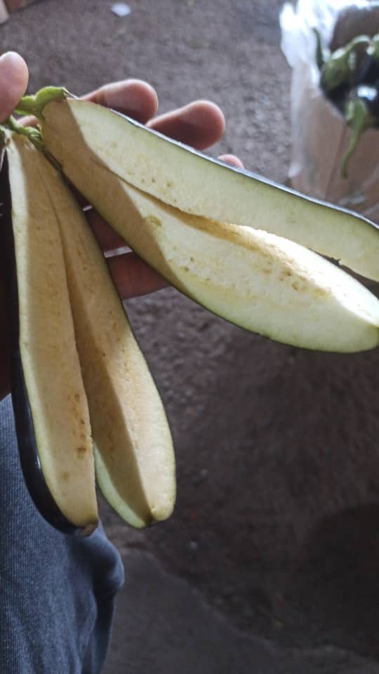 سبزیجات آماده خانگی دهکده سبزی