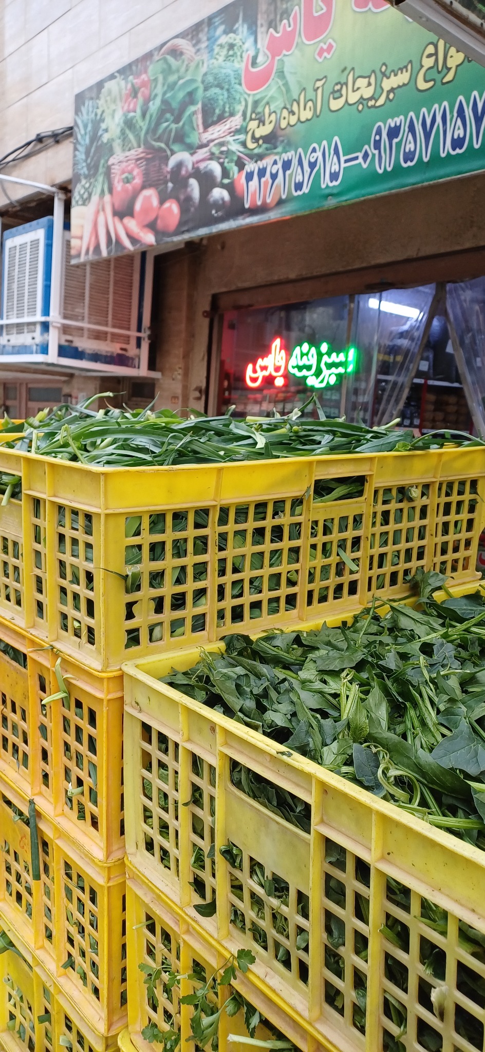 سبزینه یاس