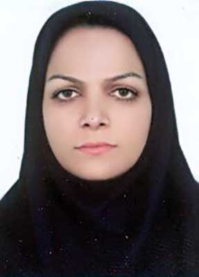 سرور بیرانوند