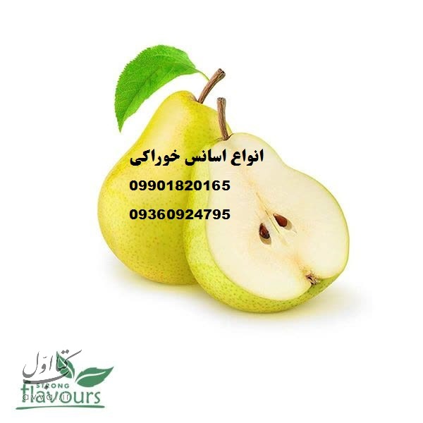 سرکاری