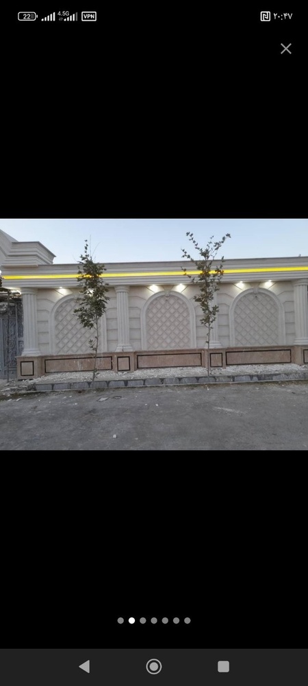 سعید دولتی