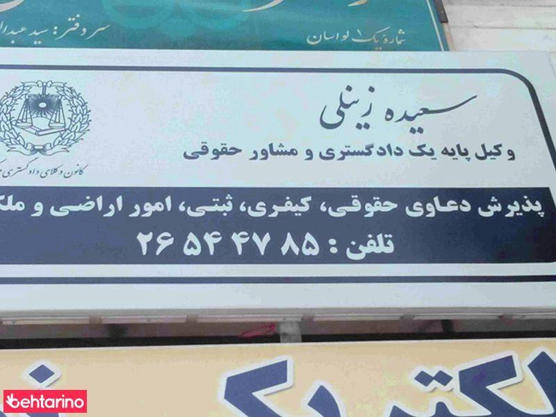 سعیده زینلی وکیل پایه یک دادگستری و مشاور حقوقی