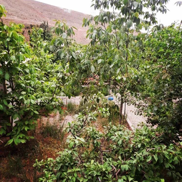 سفره خانه سنتی بام پردیس