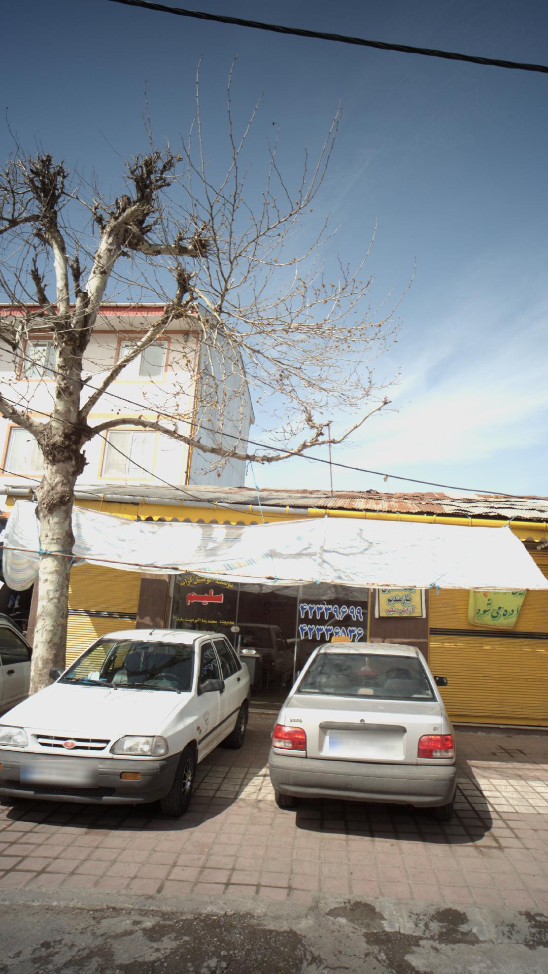 سلیم