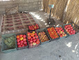سورتینگ و سردخانه برادران قره لو
