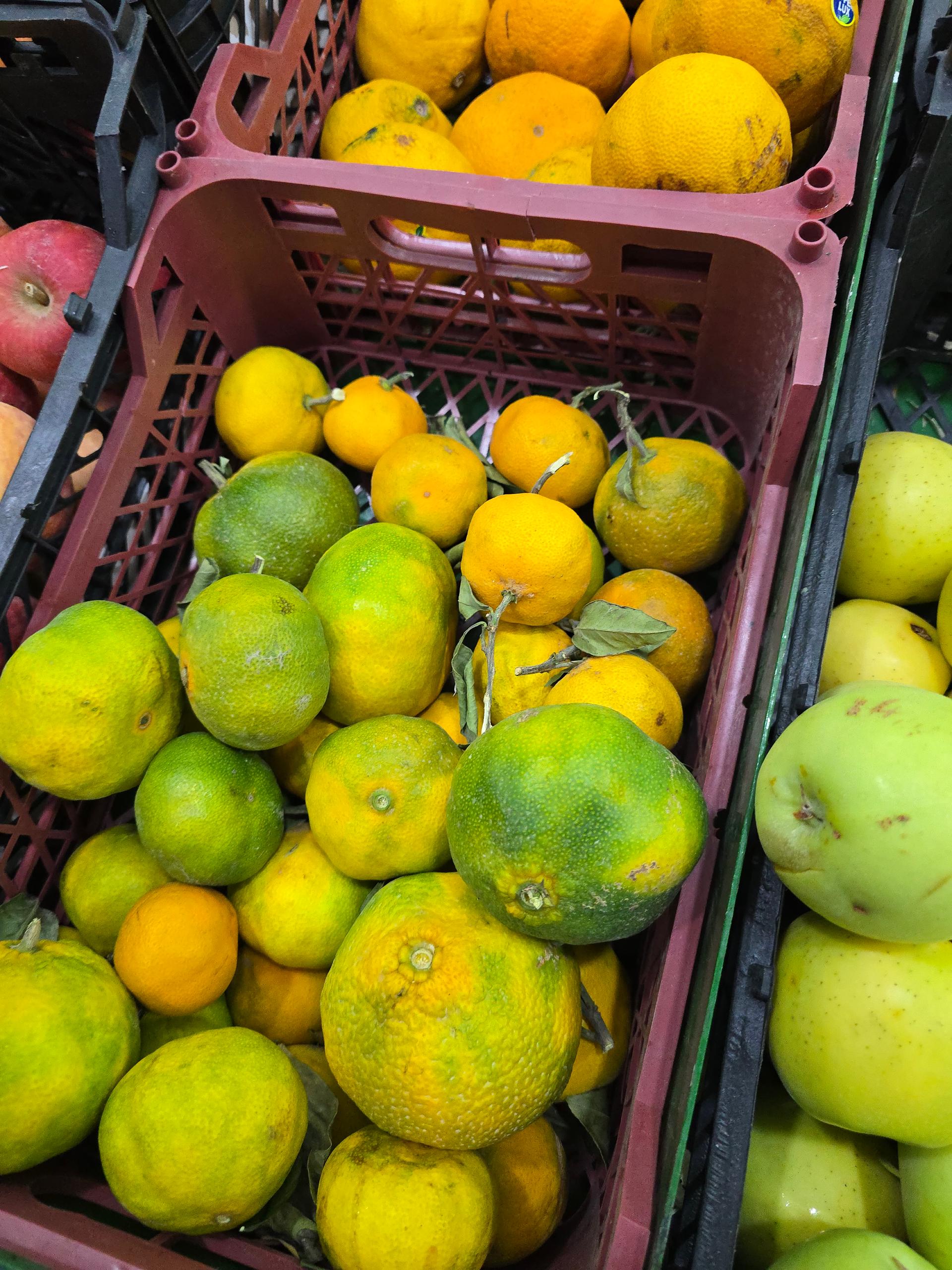 سوپر میوه و تره بار مسعود