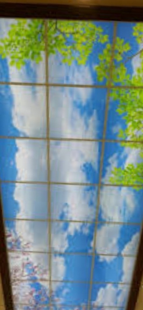 سیاوش نامنی