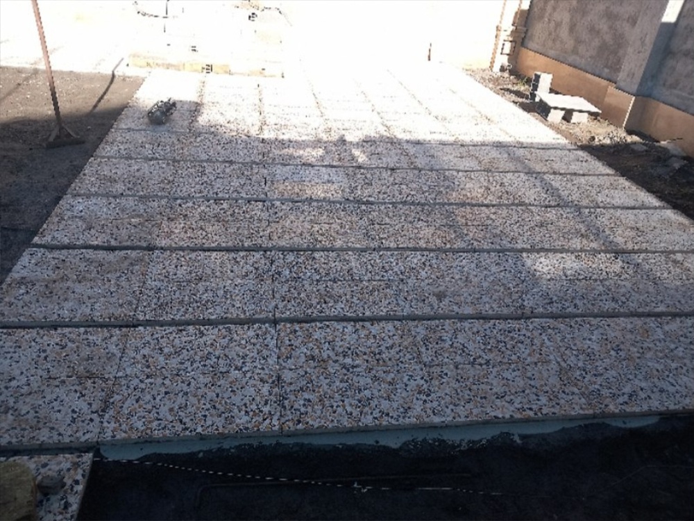 سیدعلی محمدی زارنجی