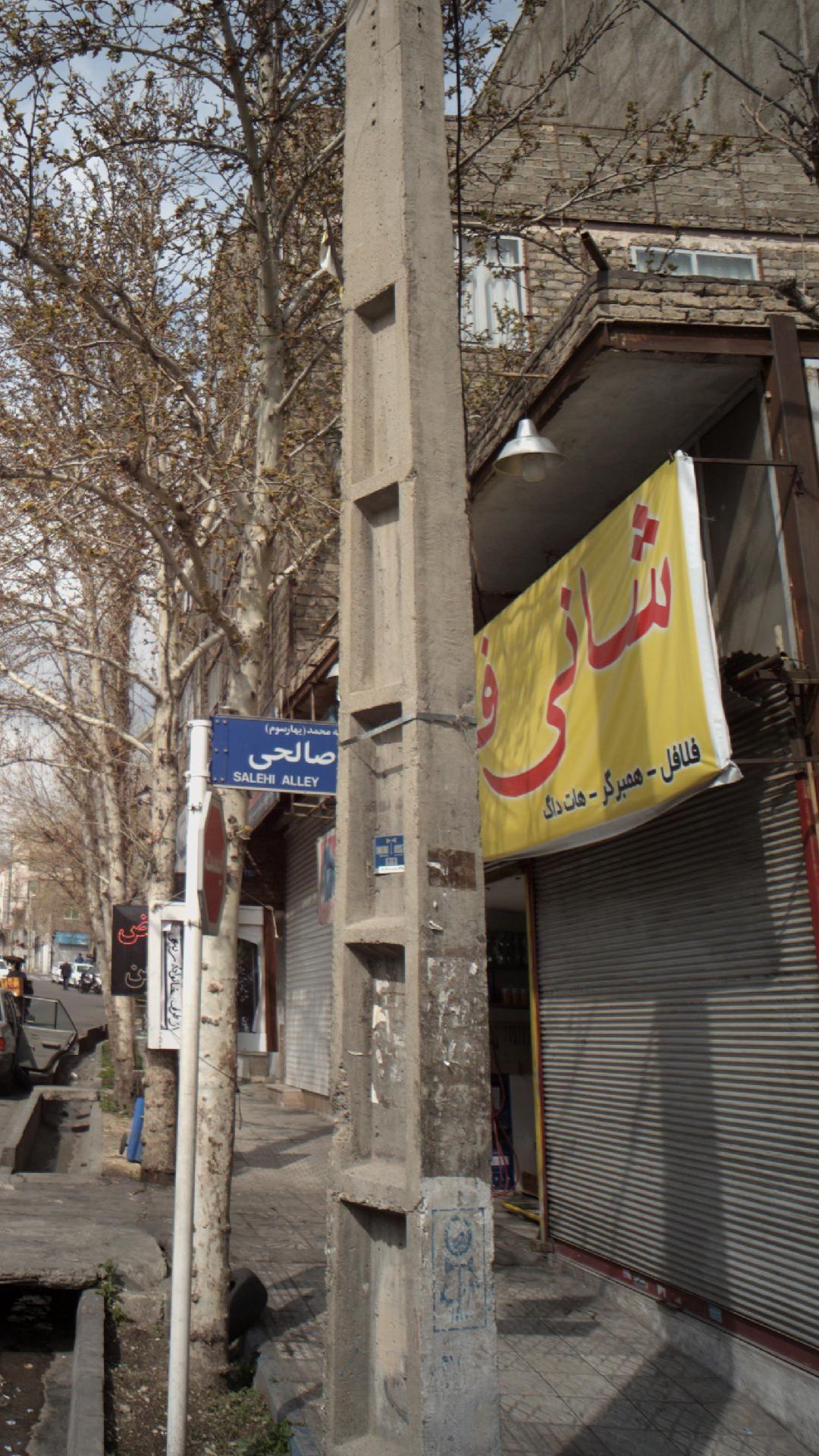 شانی فر