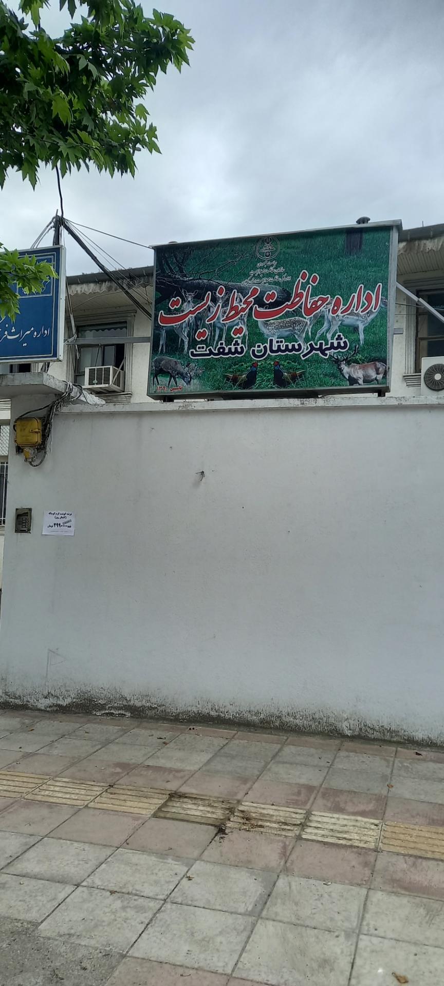 شبکه بهداشت شهرستان شفت