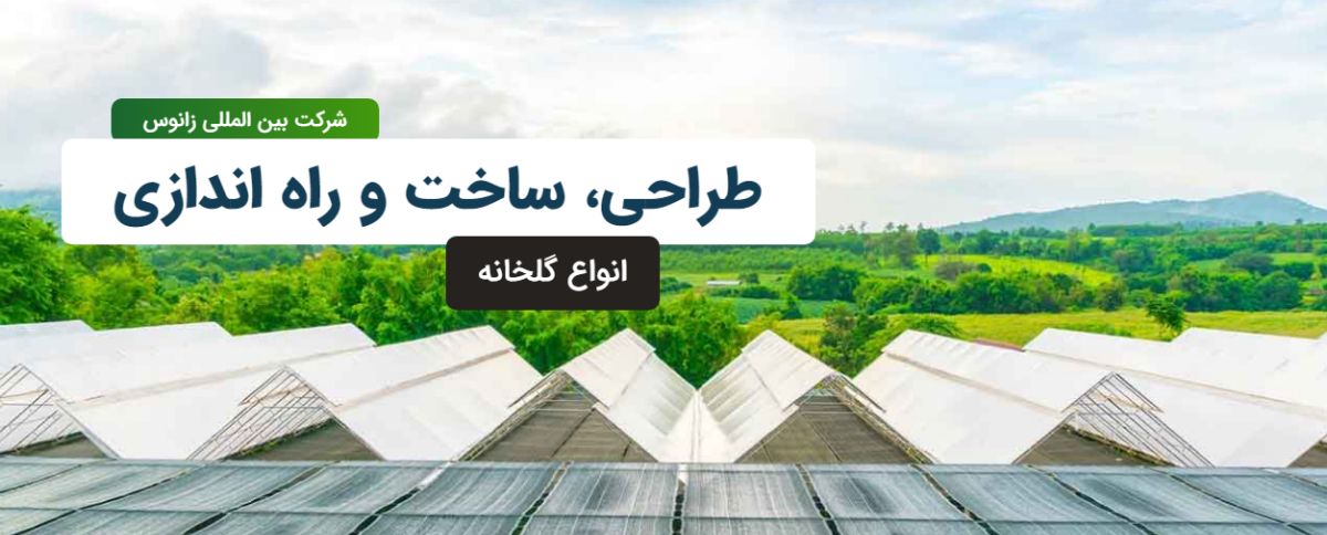 شرکت بین المللی زانوس