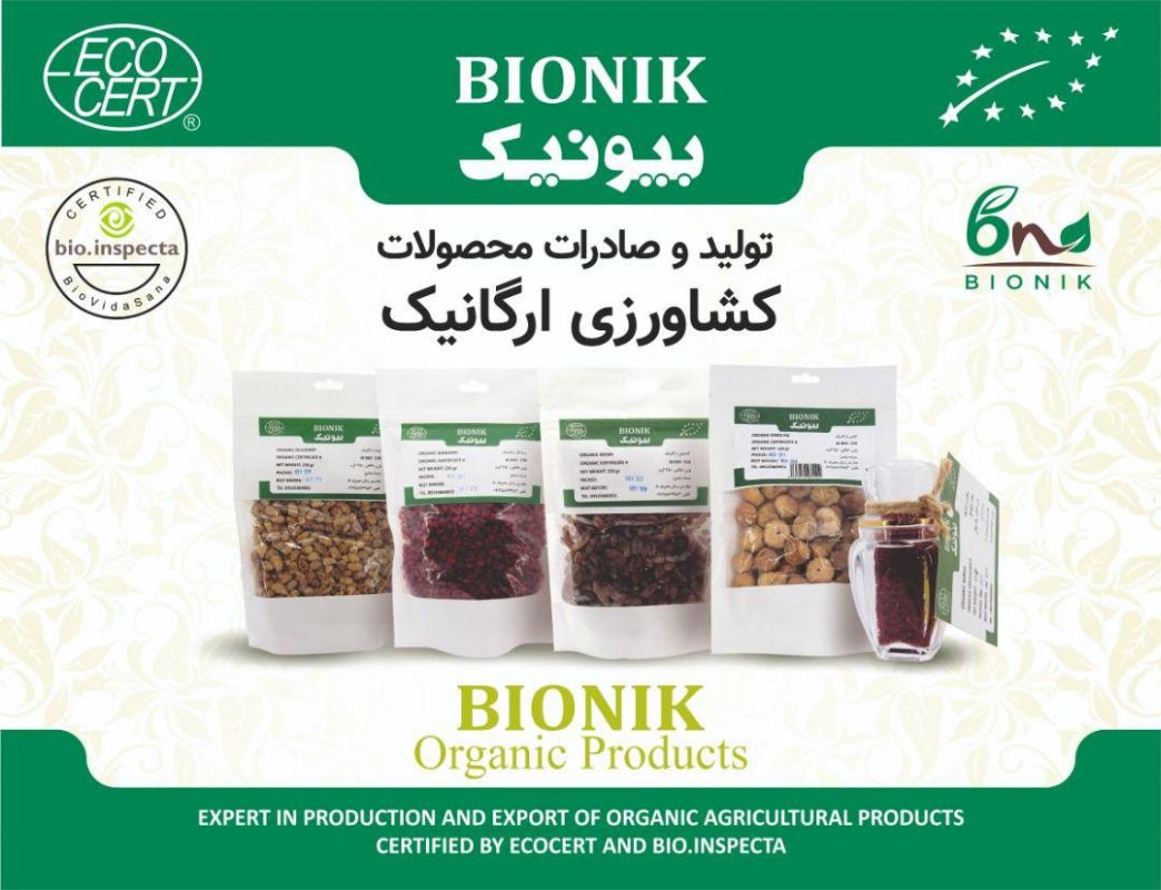 شرکت بیونیک
