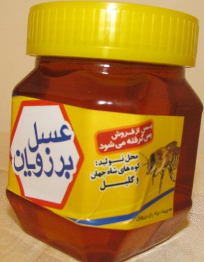 شرکت تعاونی زنبورداری