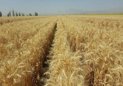 شرکت تعاونی سگزاباد