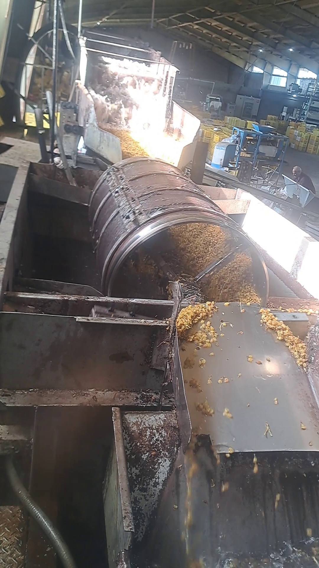 شرکت تولید کشمش گلدن گوهری