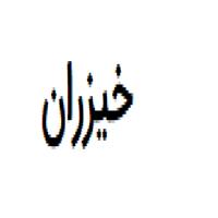 شرکت خیزران