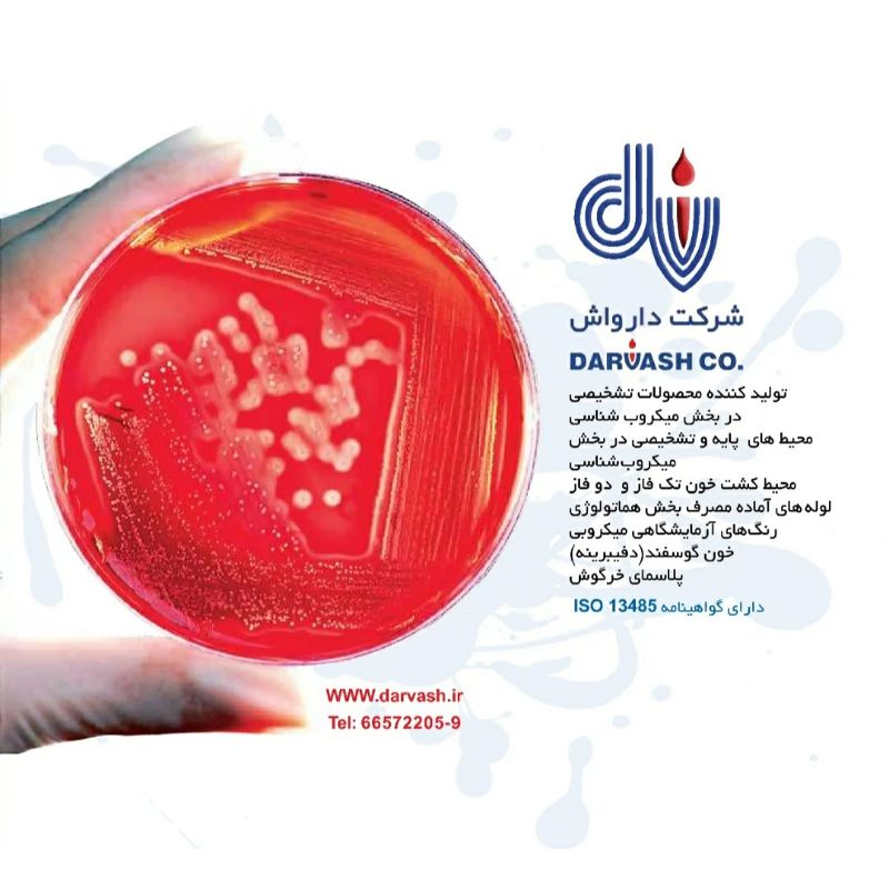 شرکت دارواش