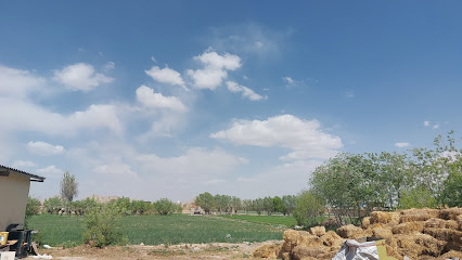 شرکت دامداری و کشاورزی مهندسیه اصفهان