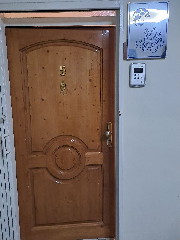 شرکت رای فن پیشگان