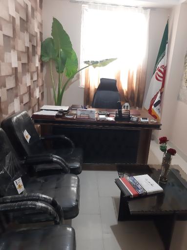 شرکت