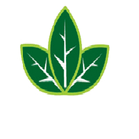 شرکت رویش طبرستان