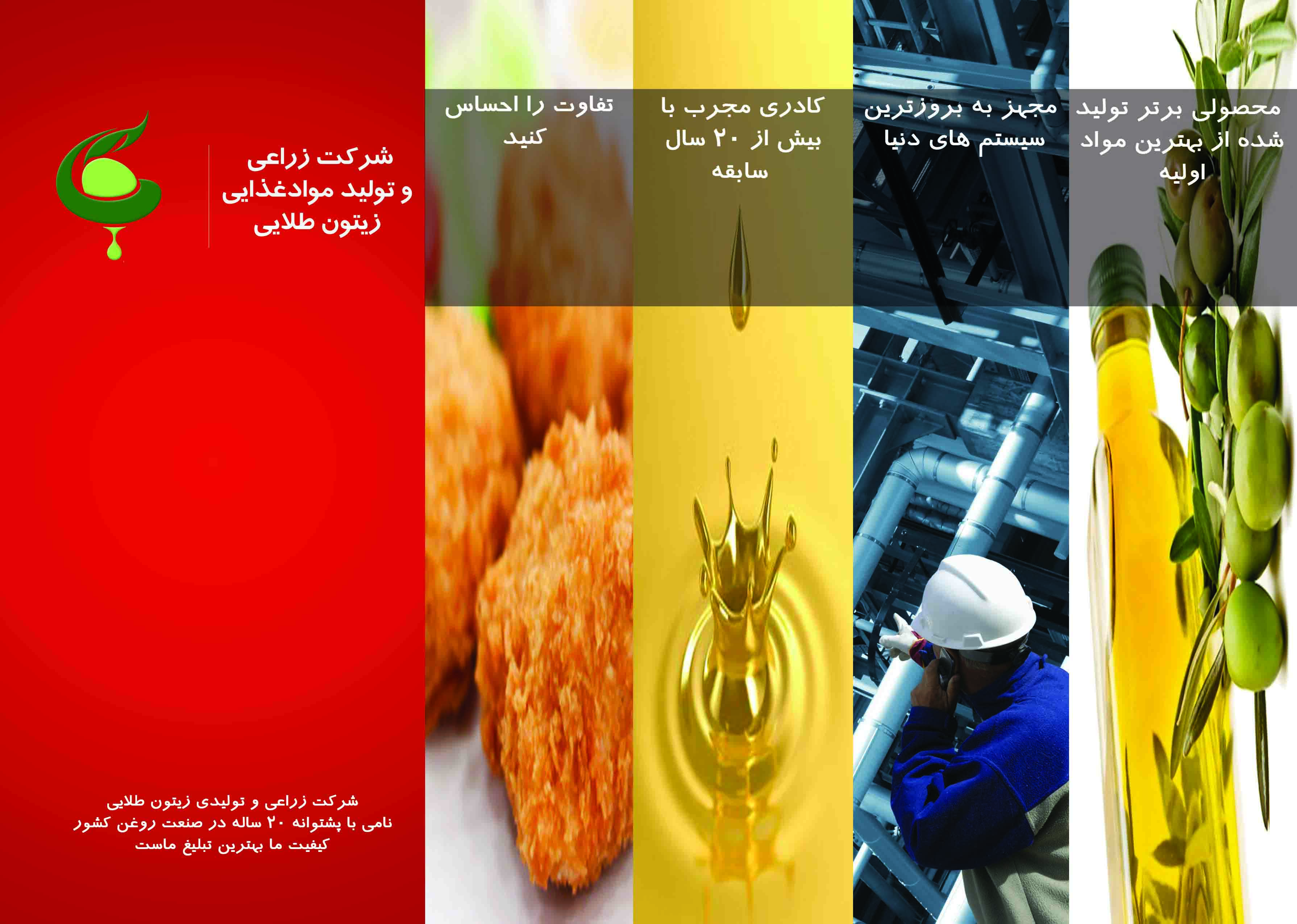 شرکت زراعی زیتون طلایی - دفتر مرکزی