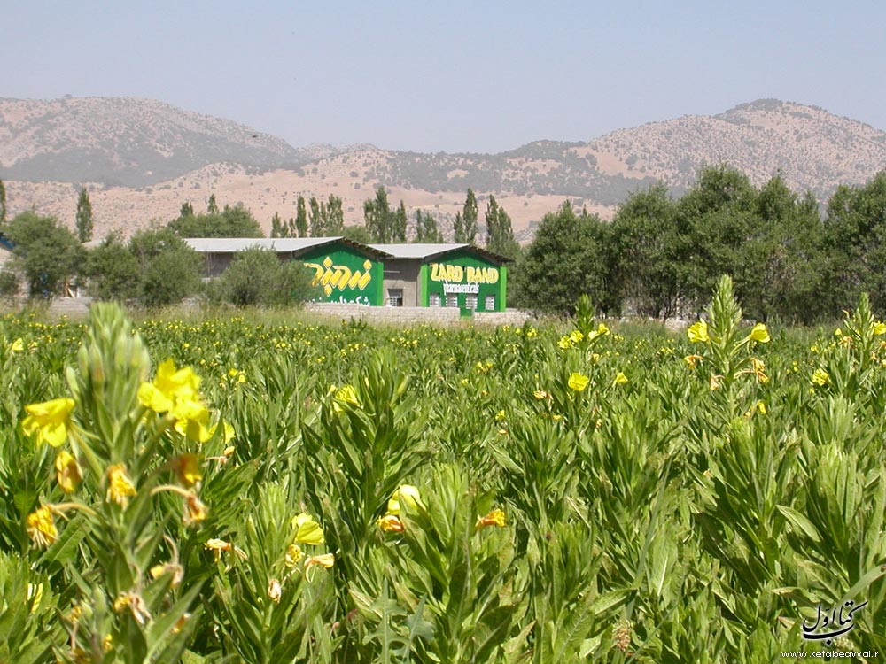 شرکت زردبند - دفتر مرکزی