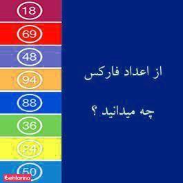 شرکت سارینا تجارت جم