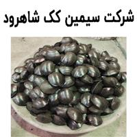 شرکت سیمین کک شاهرود