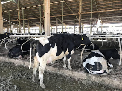 شرکت قیام اصفهان