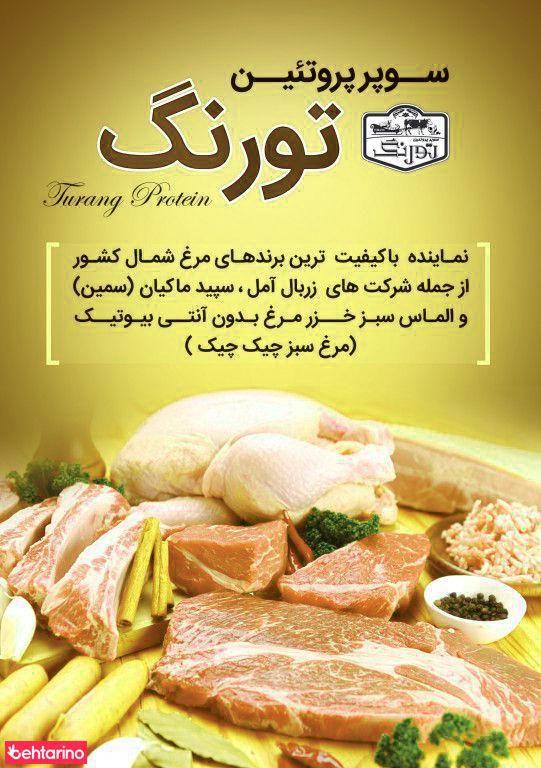 شرکت لوسی کید