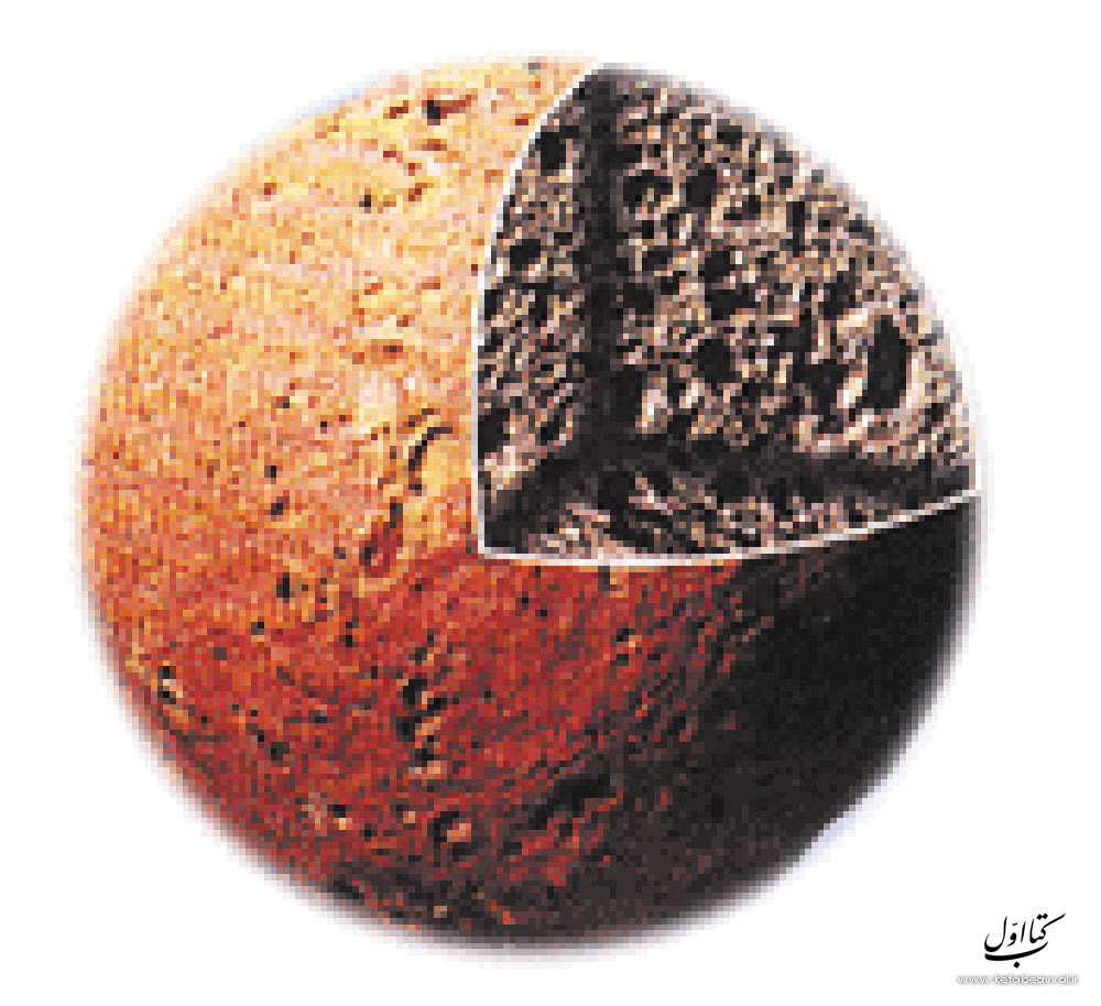 شرکت لیکا - دفتر مرکزی